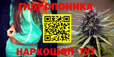 шишки Свободный