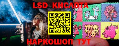 шишки Свободный