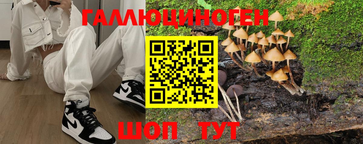 Галлюциногенные грибы Magic Shrooms Реж