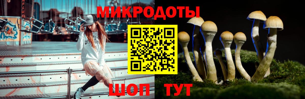 Реж  Галлюциногенные грибы мицелий  Вход с VPN 